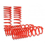 Lowering Springs